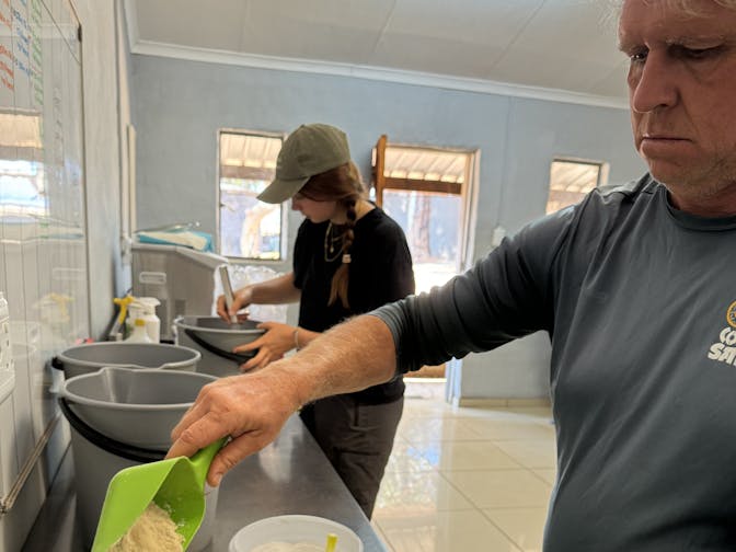Amanda Thompson: a male volunteer prepare the rhino calf milk