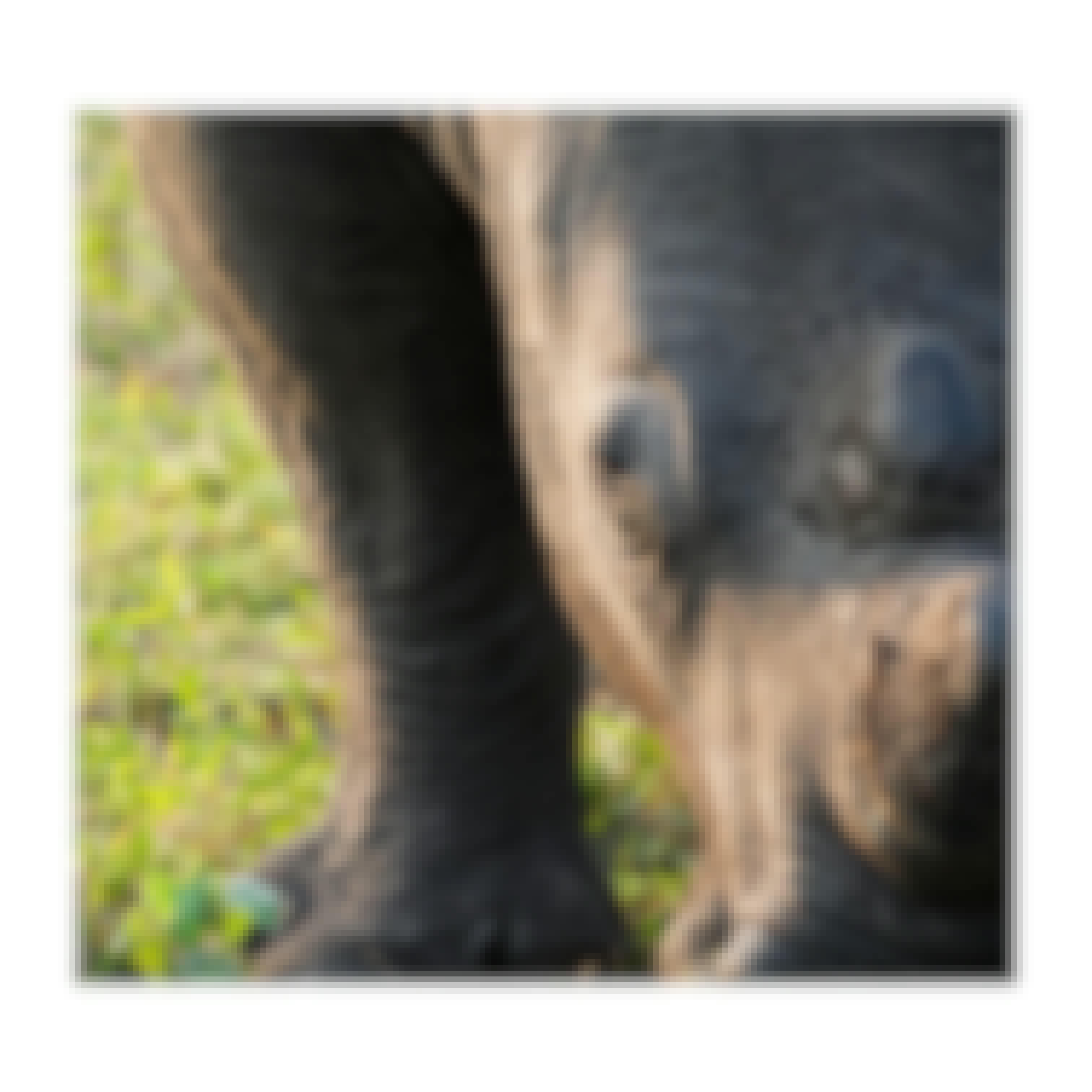 Sam Johnston: rhino close up