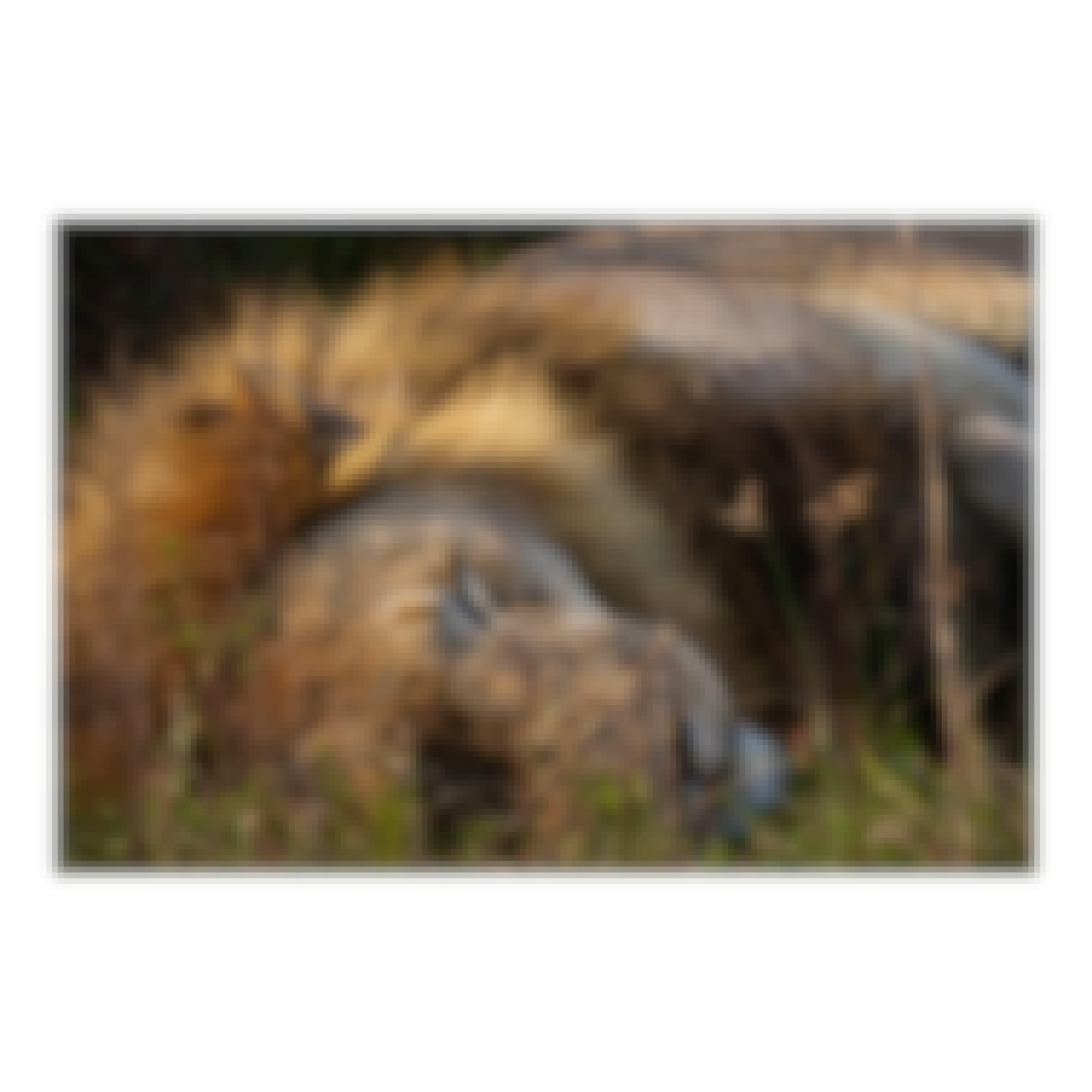 Sam Johnston: close up of male lion sleeping 