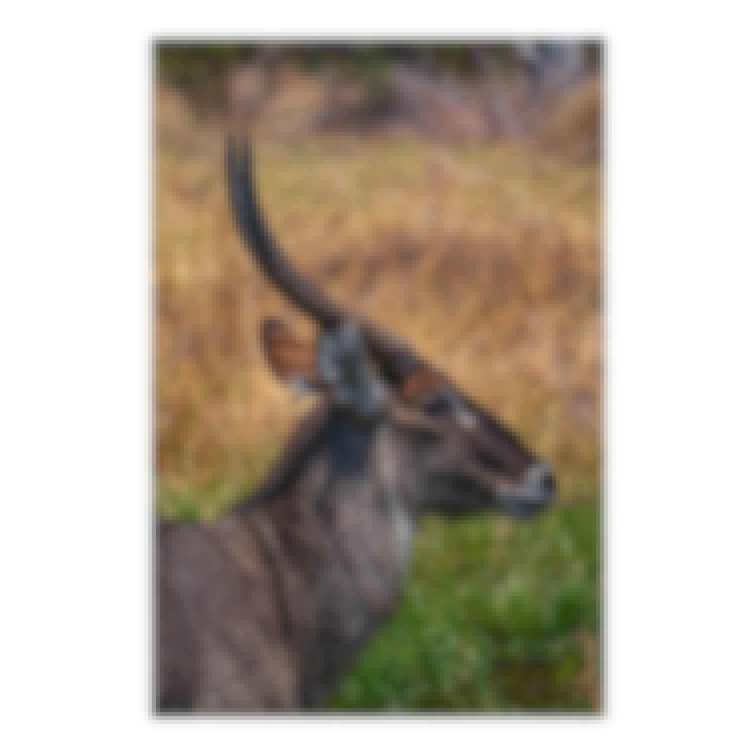 Sam Johnston: antelope close up