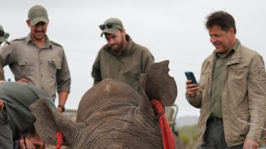 Sam Johnston: group of volunteers observing a rhino horn trimming