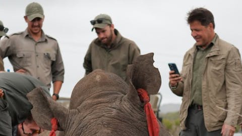 Sam Johnston: group of volunteers observing a rhino horn trimming