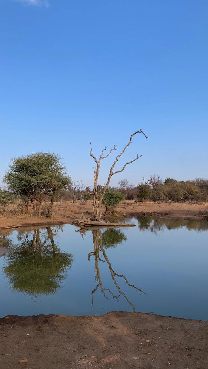 Waterhole in the Kruger National Park
