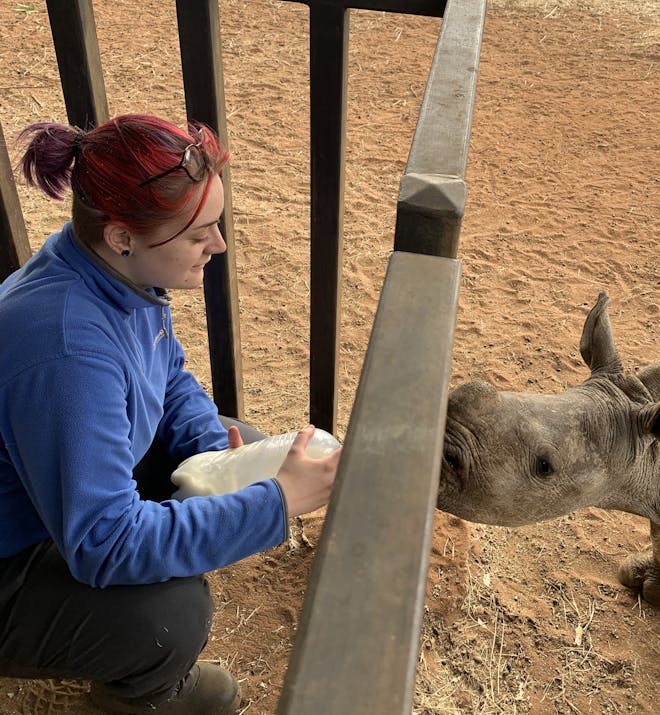 Evie Ancell: bottle feeding baby rhino