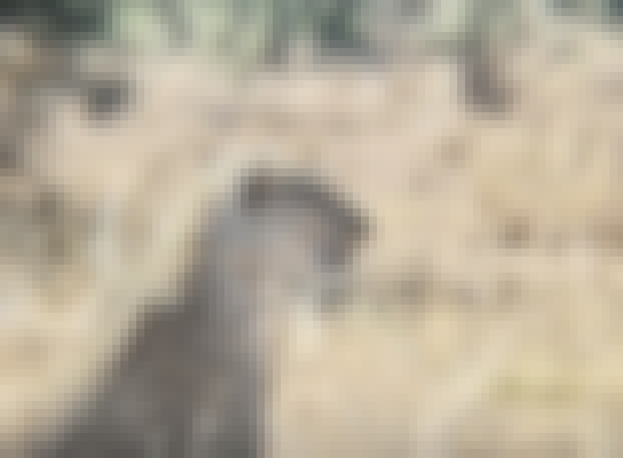 Nathalia Kristal Rios Rivera: leopard close up 