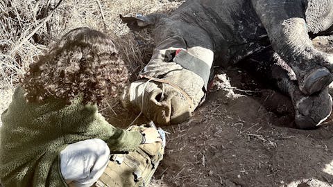 Nathalia Kristal Rios Rivera: female volunteer working rhino