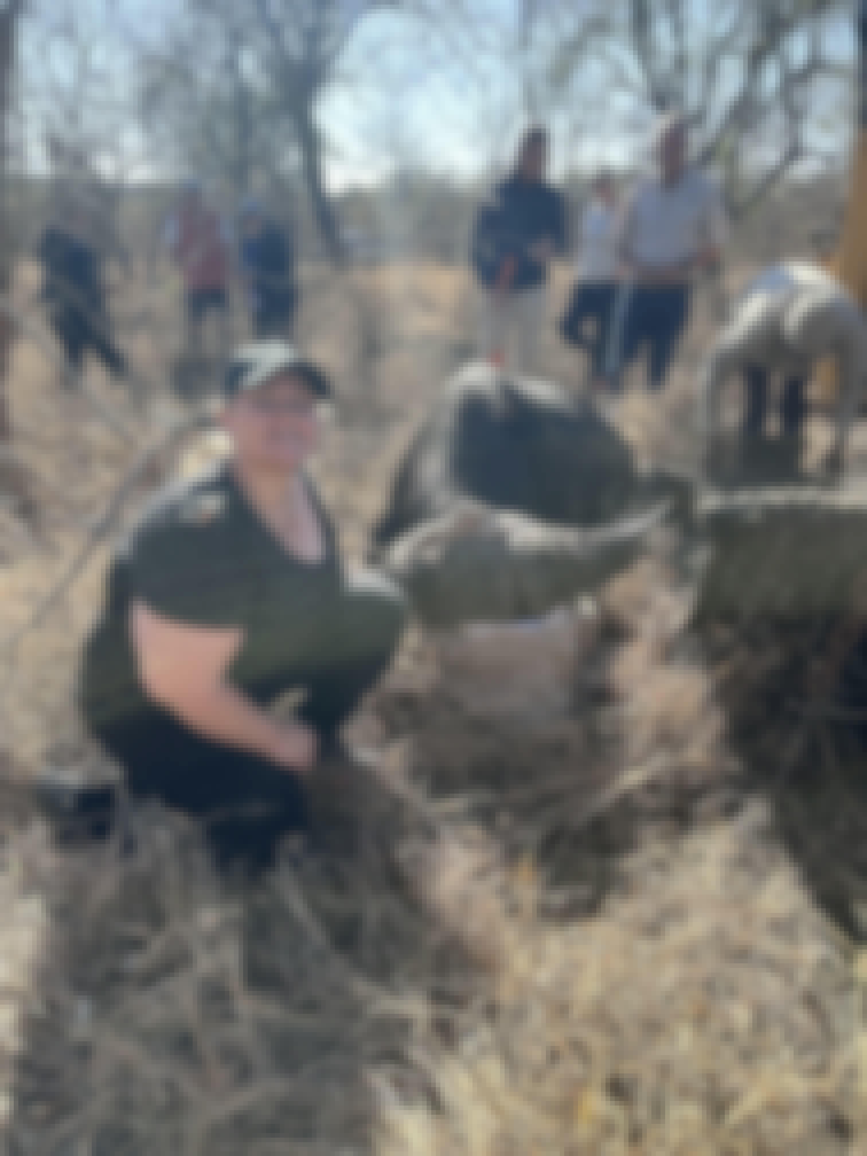 Volunteer next to a sedated buffalo