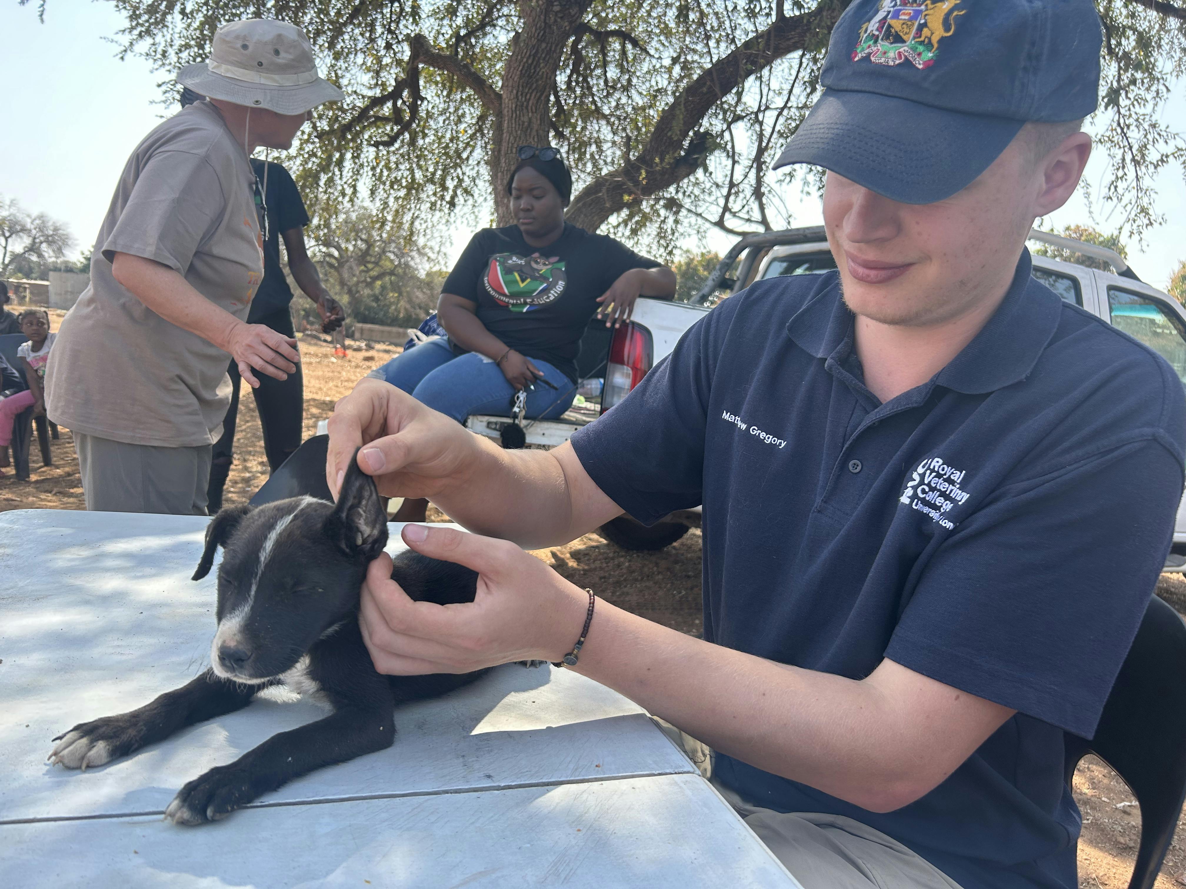 Matthew Gregory: male volunteer carrying out veterinary care on a puppy