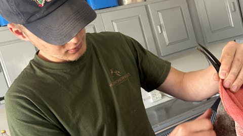 Matthew Gregory: male volunteer doing veterinary care