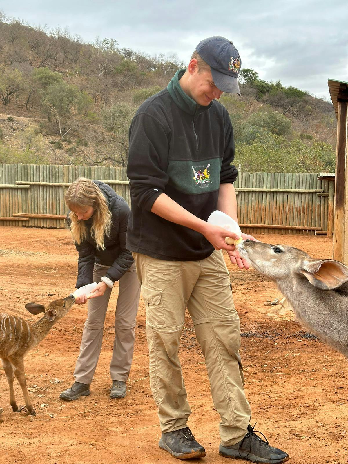 Matthew Gregory: male volunteer feeding baby deer