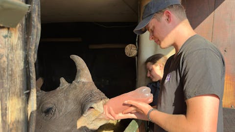 Matthew Gregory: volunteers bottle feeding rhinos