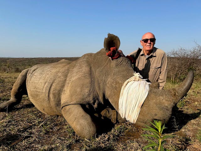Maurice Tallantyre: close up of male volunteer with rhino having it's horn trimmed