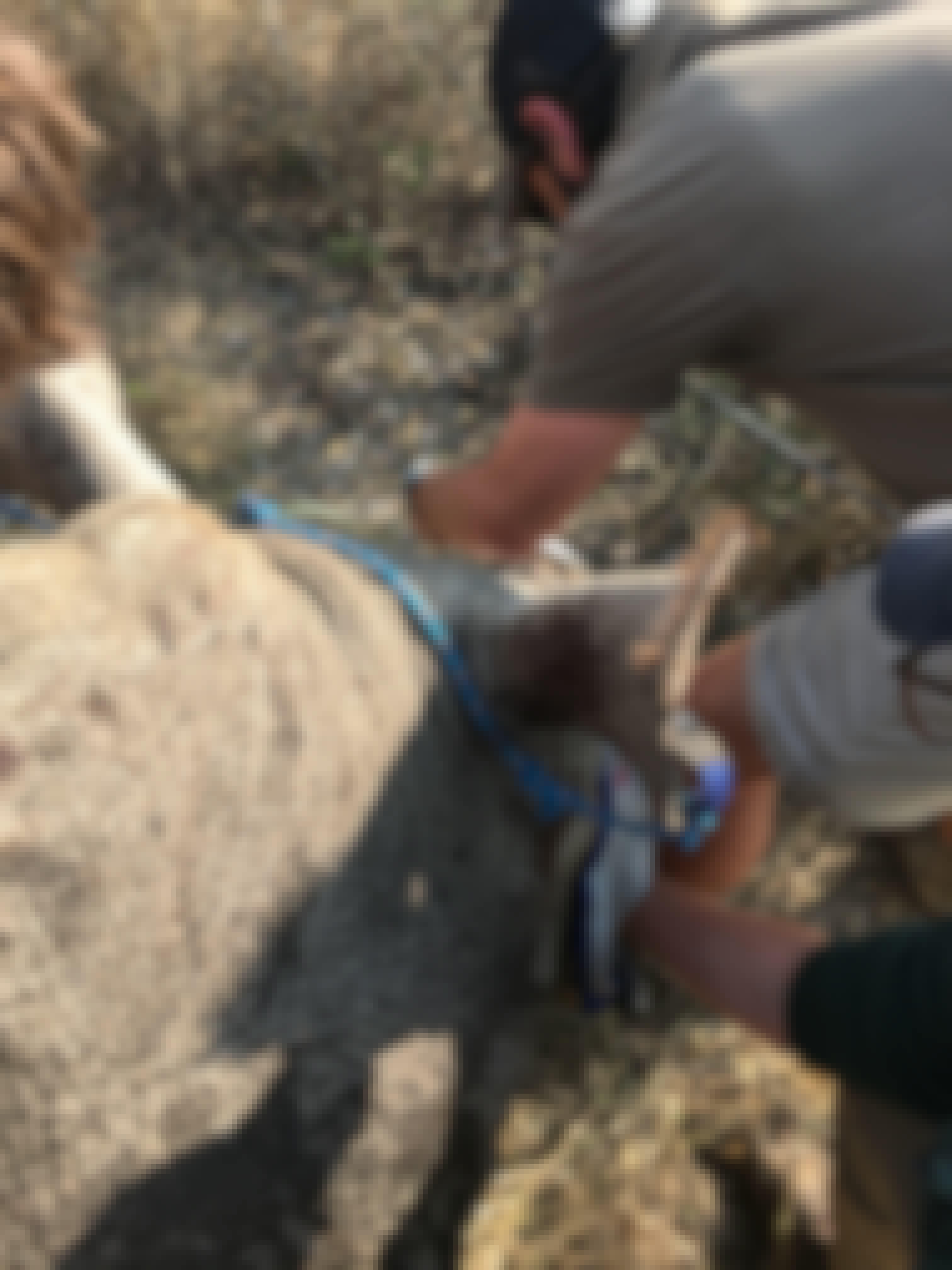 Caitlin Bayliss: vet working on a rhino horn trimming 