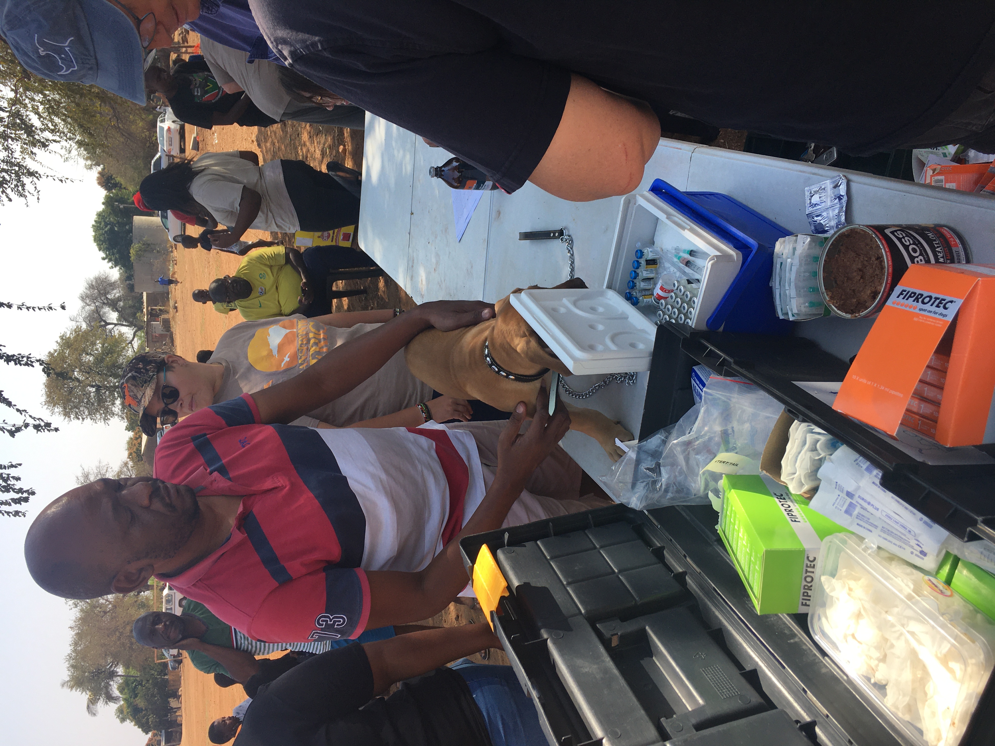 Caitlin Bayliss: local veterinary clinic