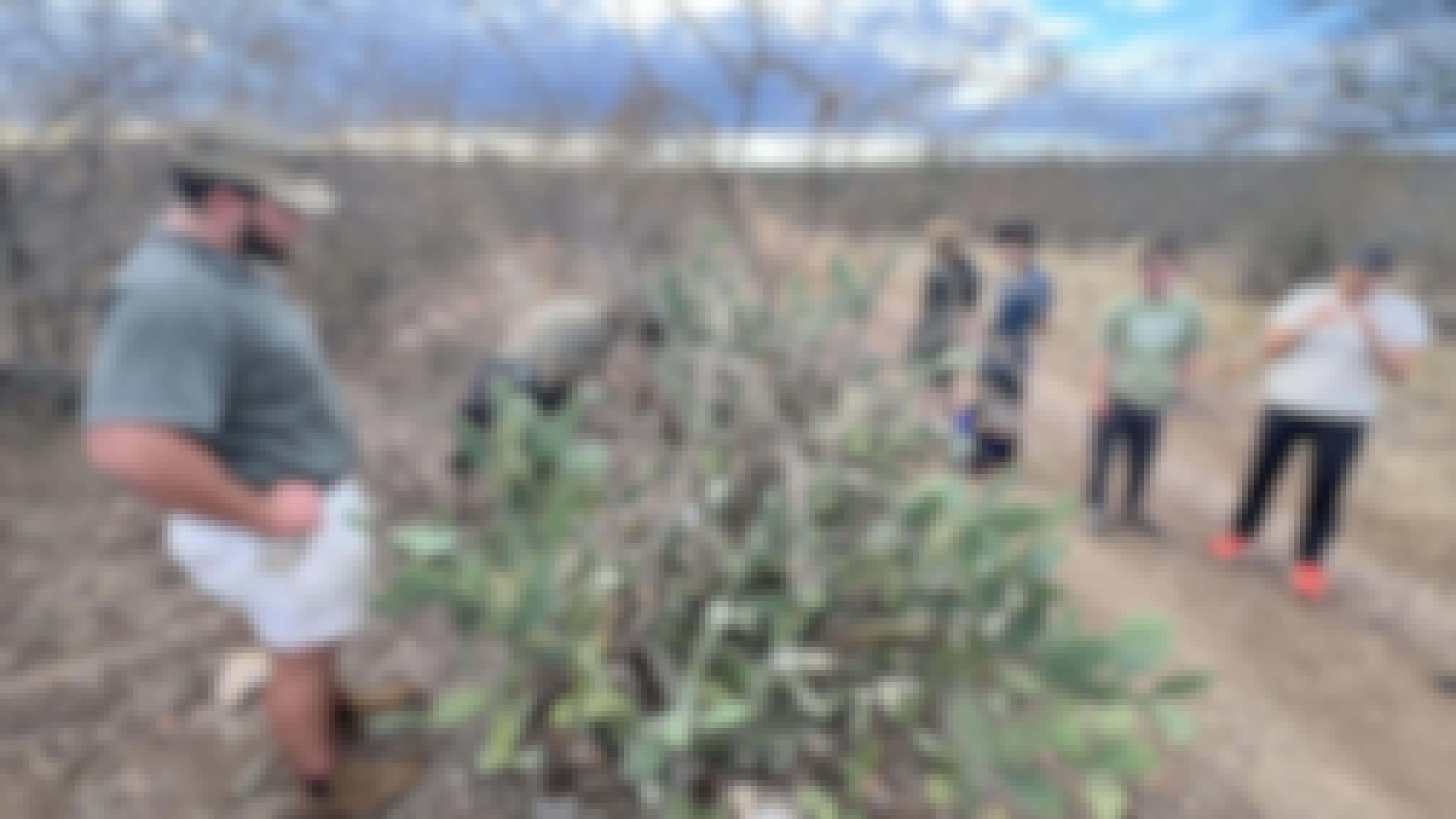 ISA Group Trip 2024: students working on alien plant removal