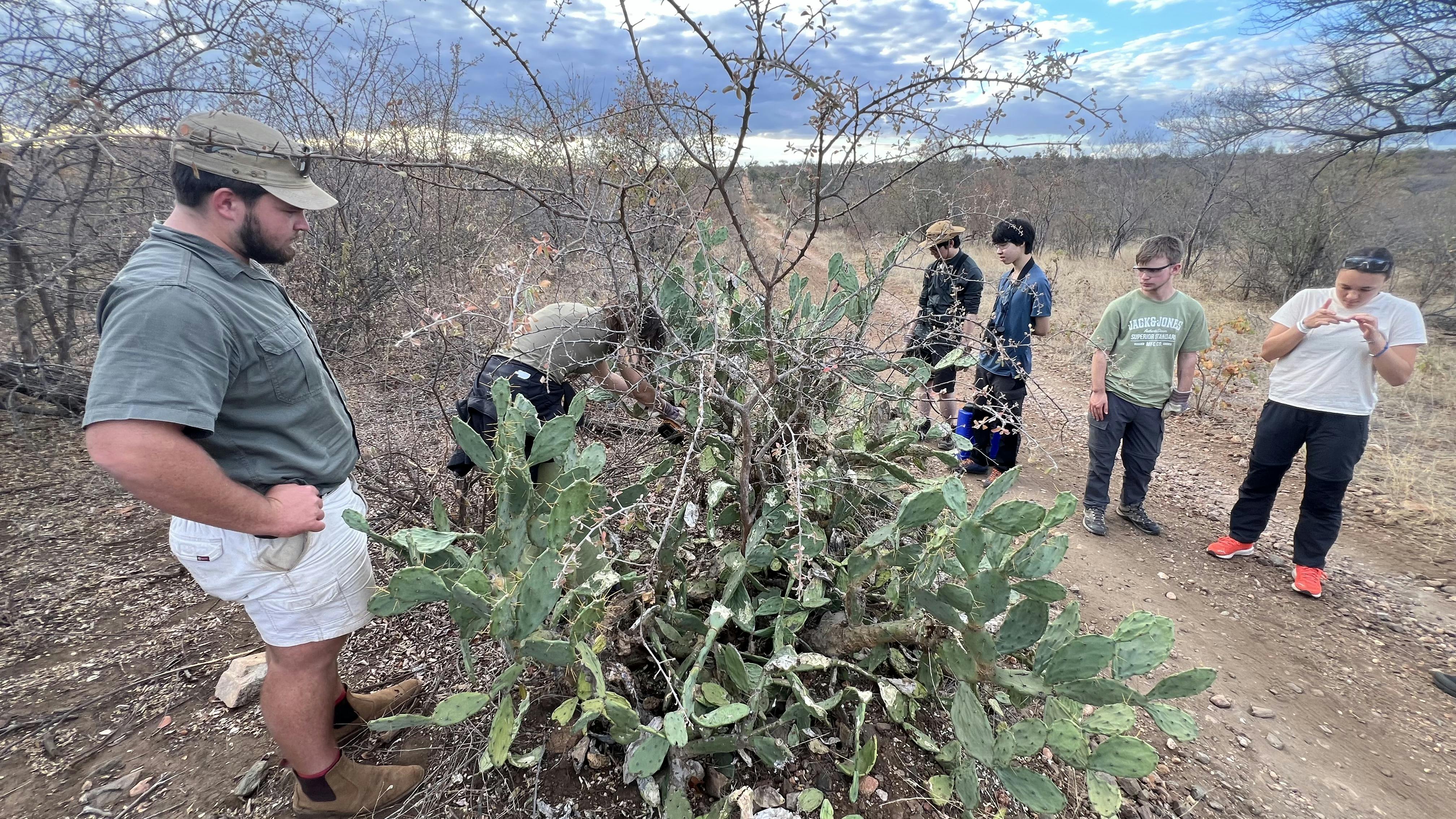 ISA Group Trip 2024: students working on alien plant removal