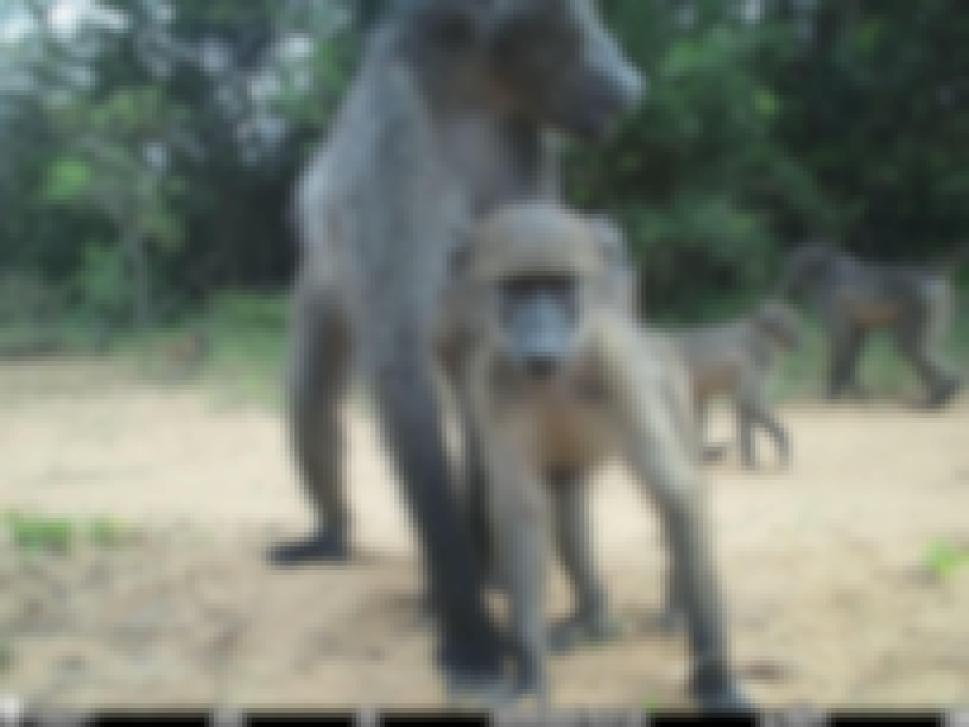 Phinda Camera Trap Survey 2024 Close Up Of Baboon