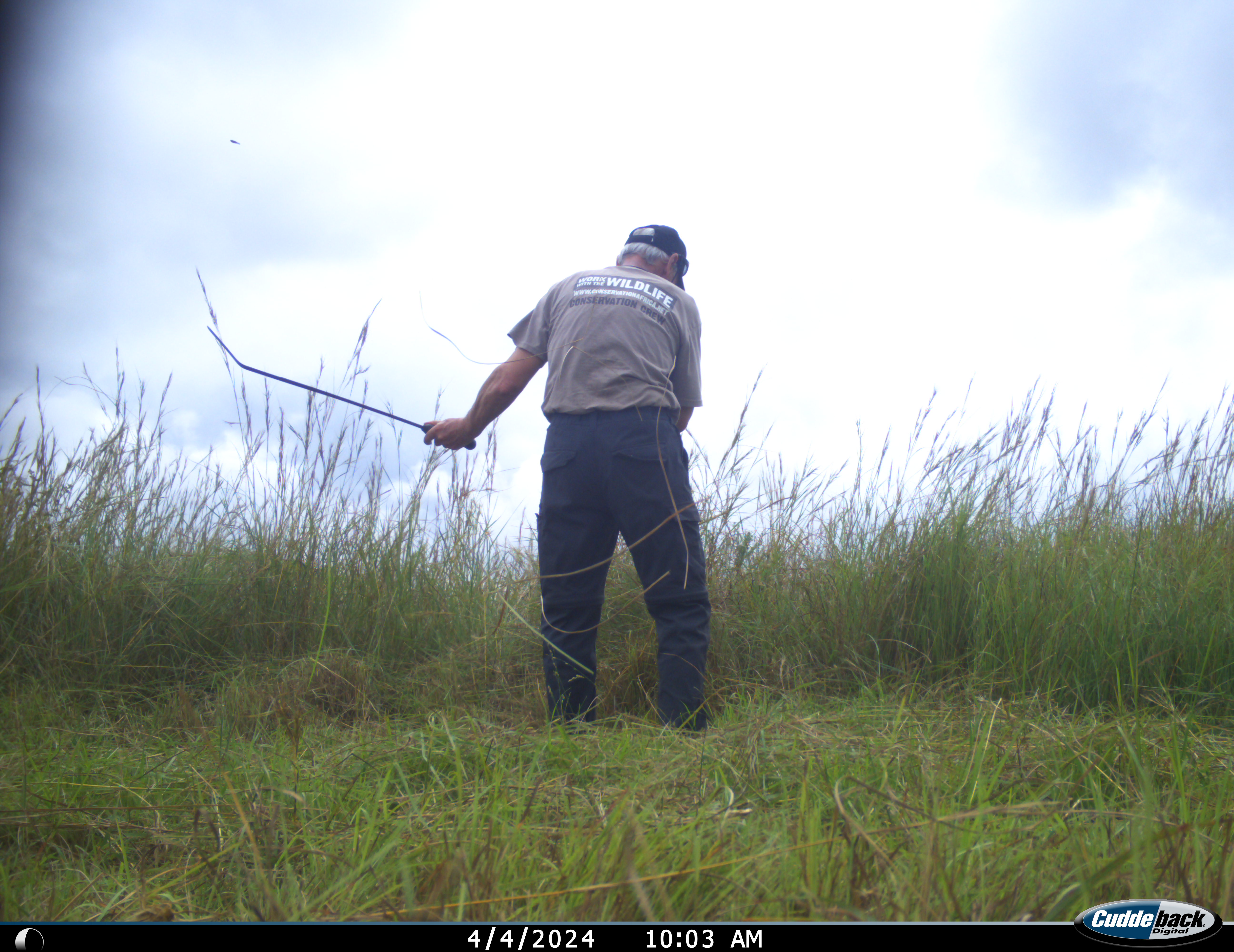 Phinda Camera Trap Survey 2024 ACE Volunteer Clearing Vegetation