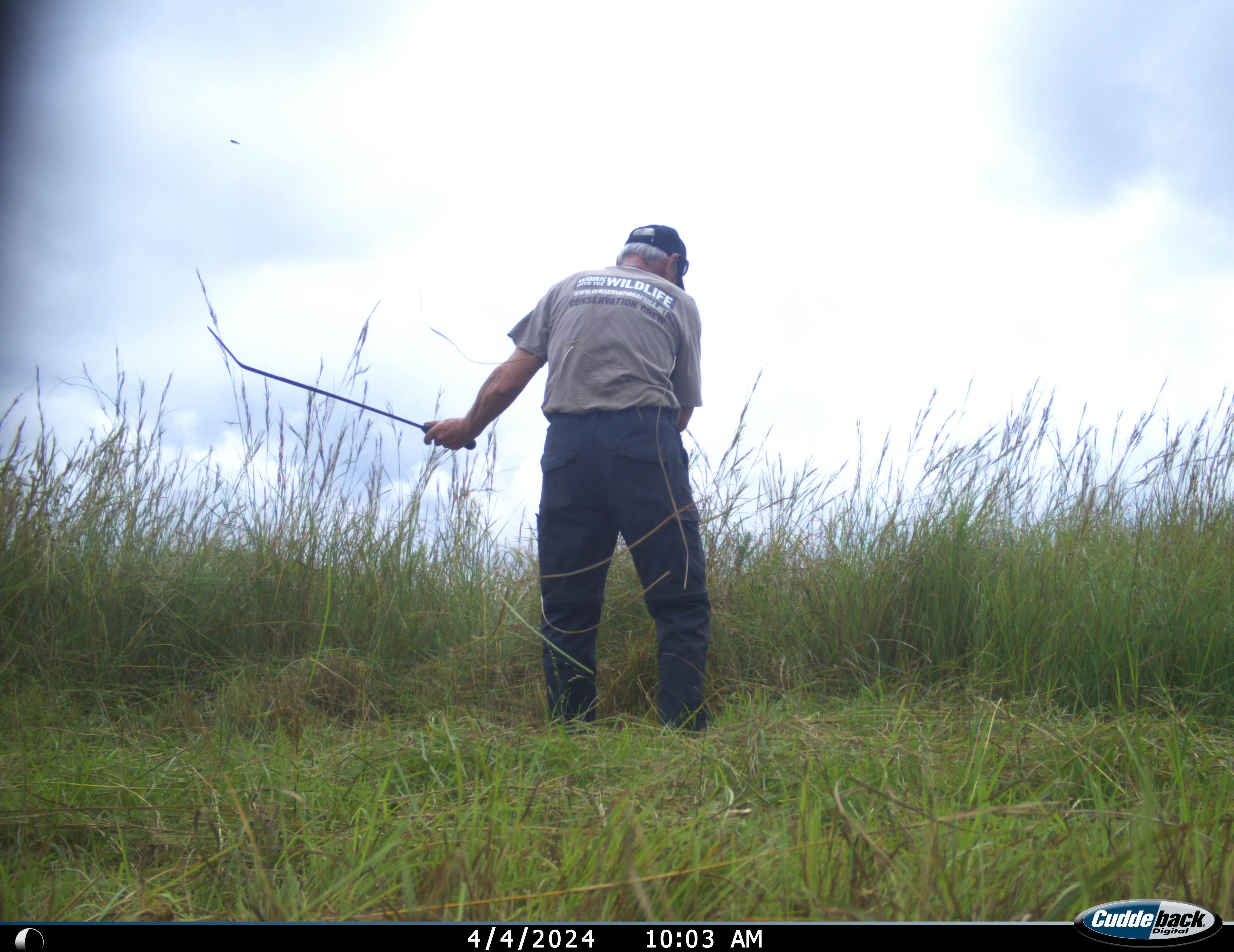 Phinda Camera Trap Survey 2024 ACE Volunteer Clearing Vegetation