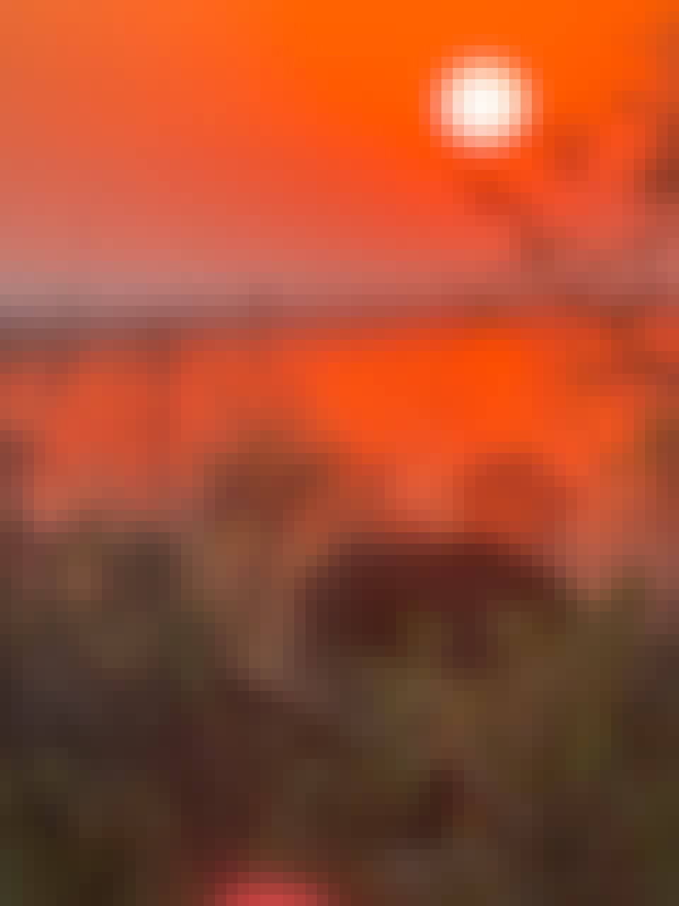 Evie Ancell: buffalo at sunrise
