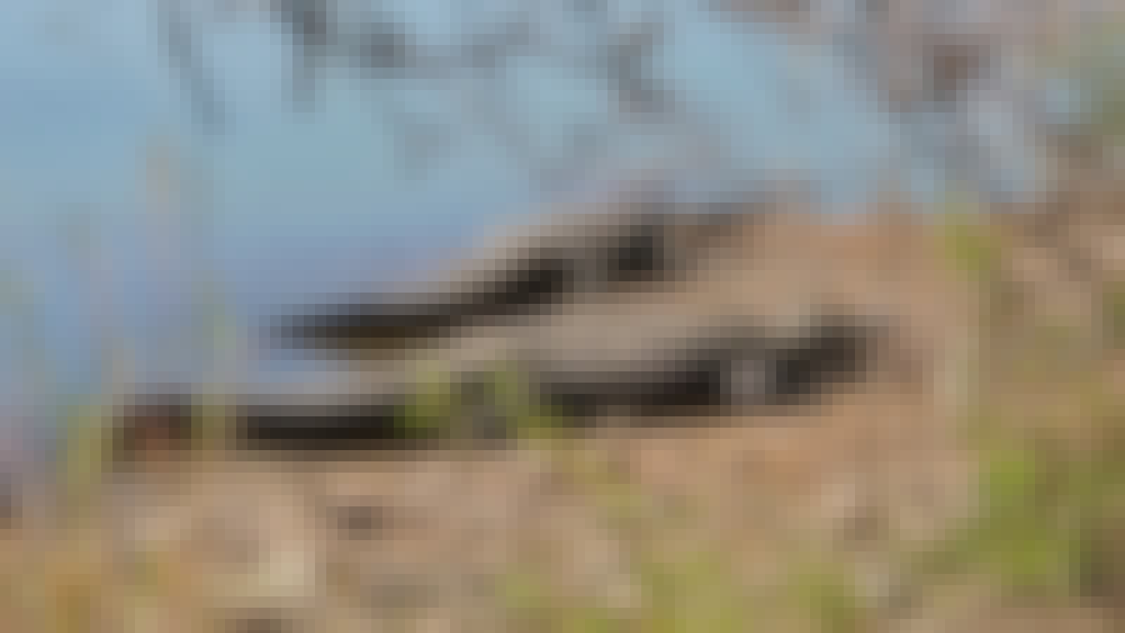 Evie Ancell: crocodiles in the river close up