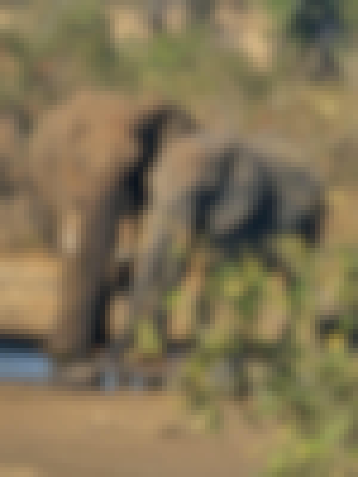 Evie Ancell: elephants up close