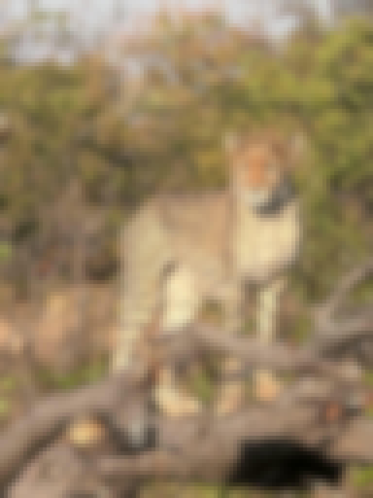 Evie Ancell: cheetah up close