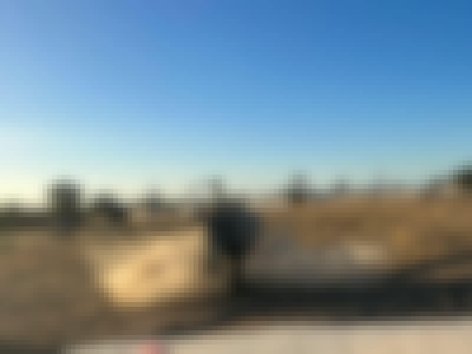 Rhino running after a vehicle