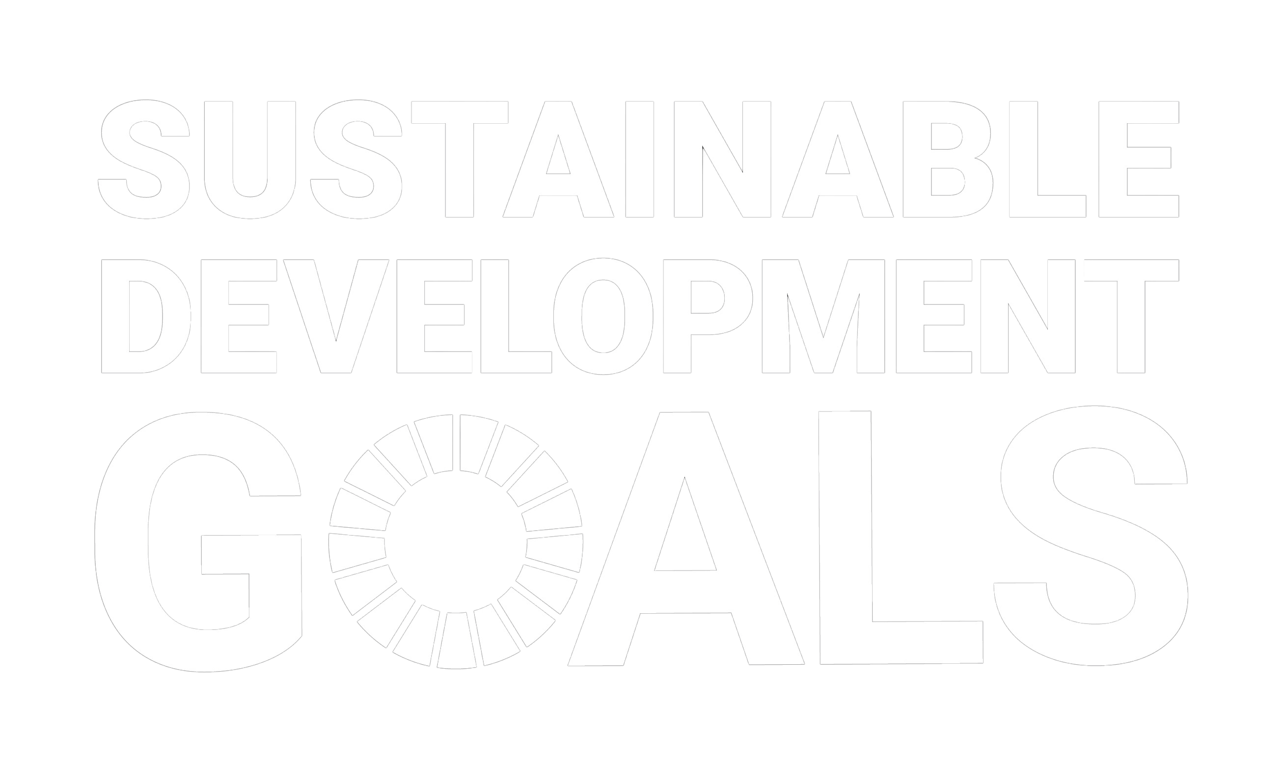 UN Sustainable Development Goals Logo