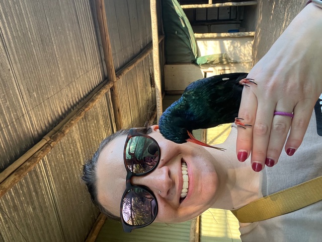 Olivia Shrimpton: a female volunteer with a bird at Moholoholo