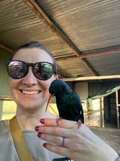 Olivia Shrimpton: female volunteer with bird