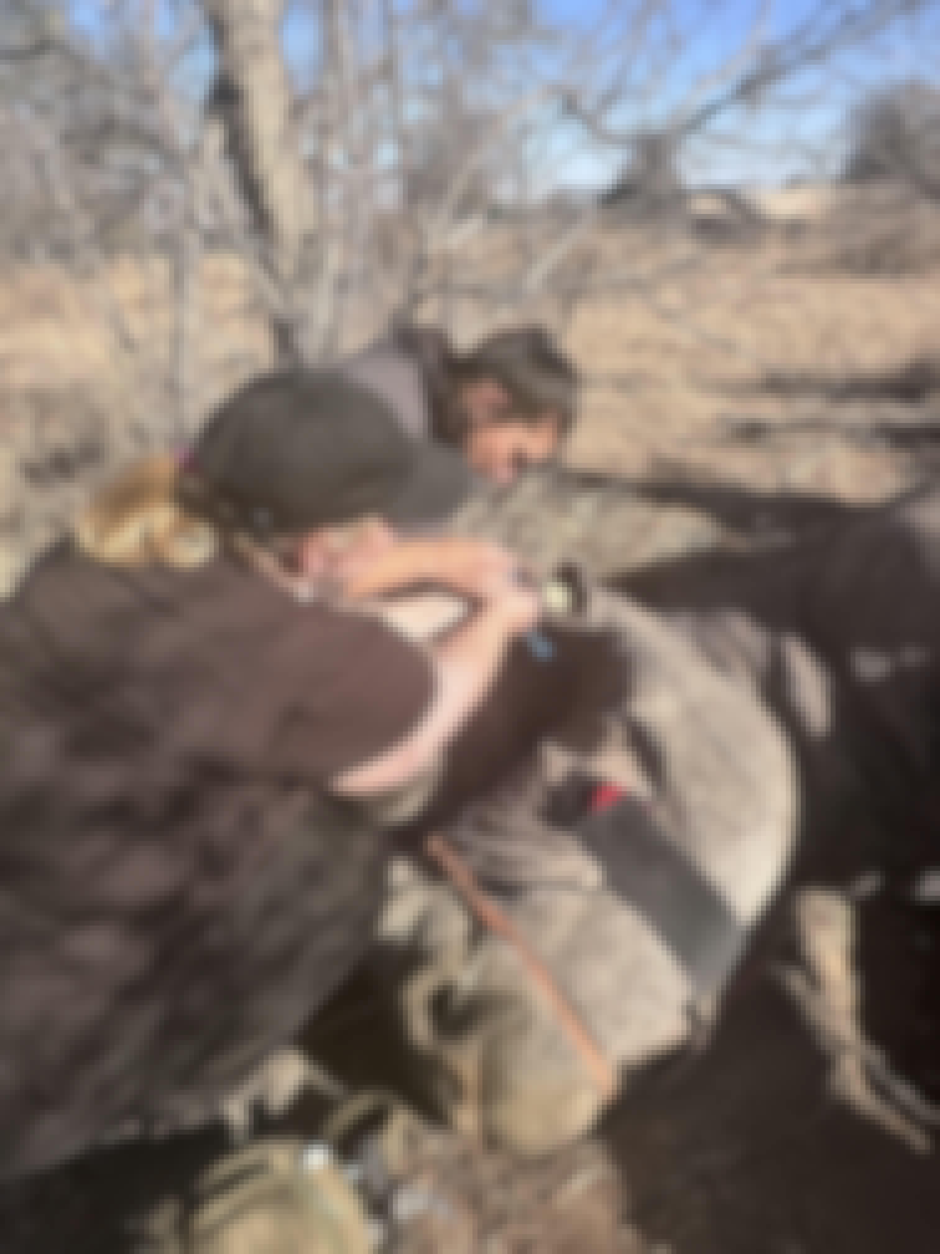 Vets working on a sedated rhino
