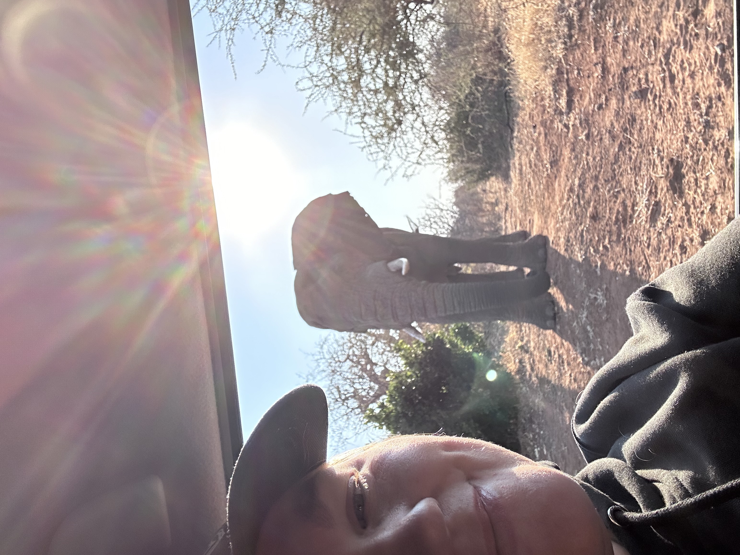Martina Sandren: Volunteer selfie with an elephant