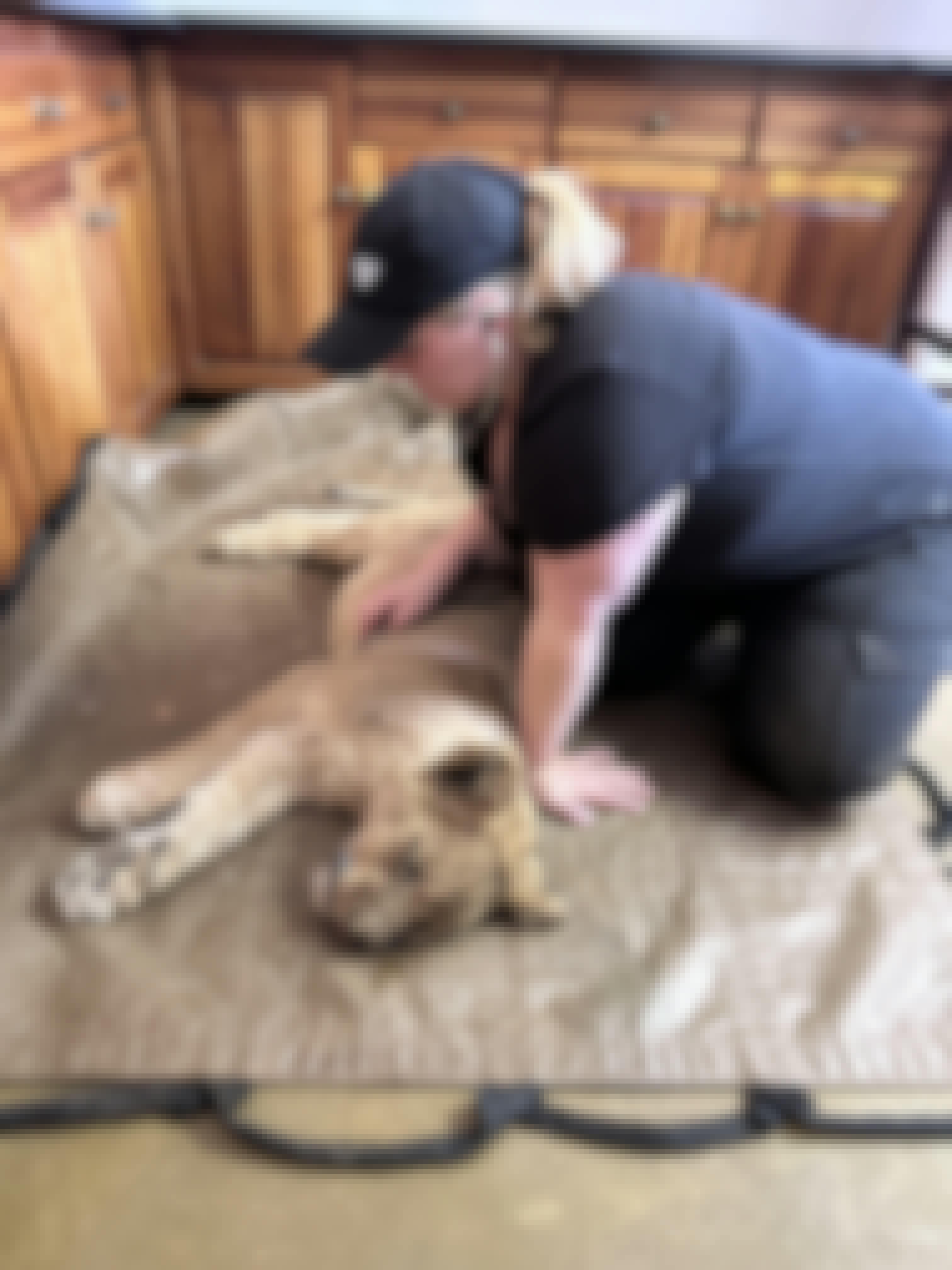 Volunteer monitoring a sedated lion cub