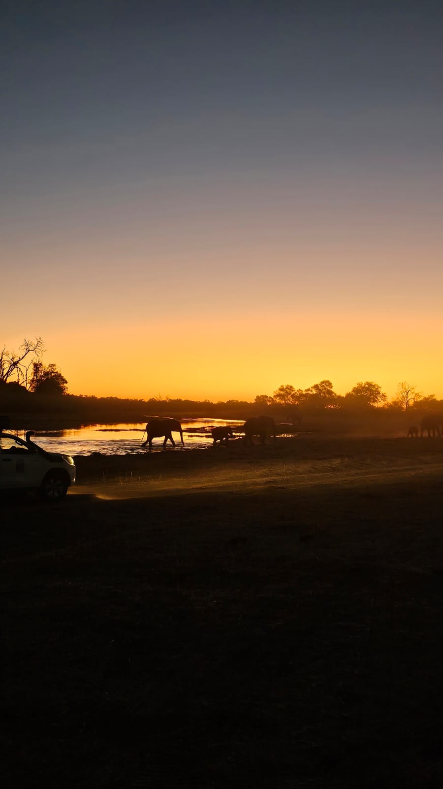 Sam Duggan: elephant family sunset