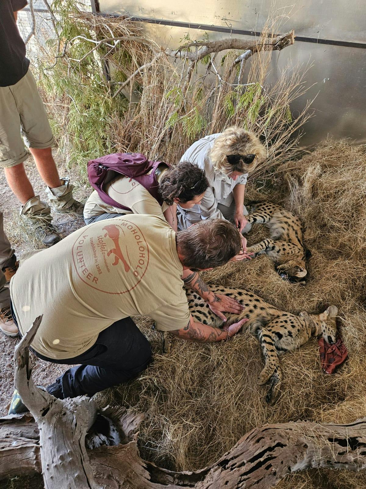 Sam Duggan: male volunteer working