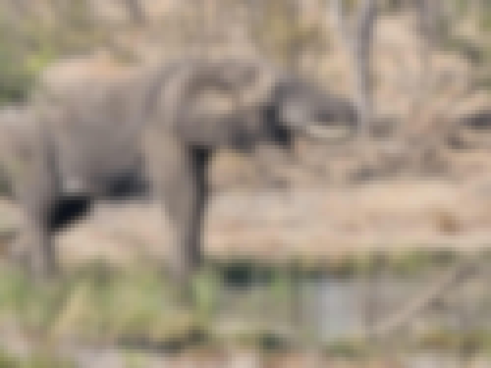 Sam Duggan: elephant up close 