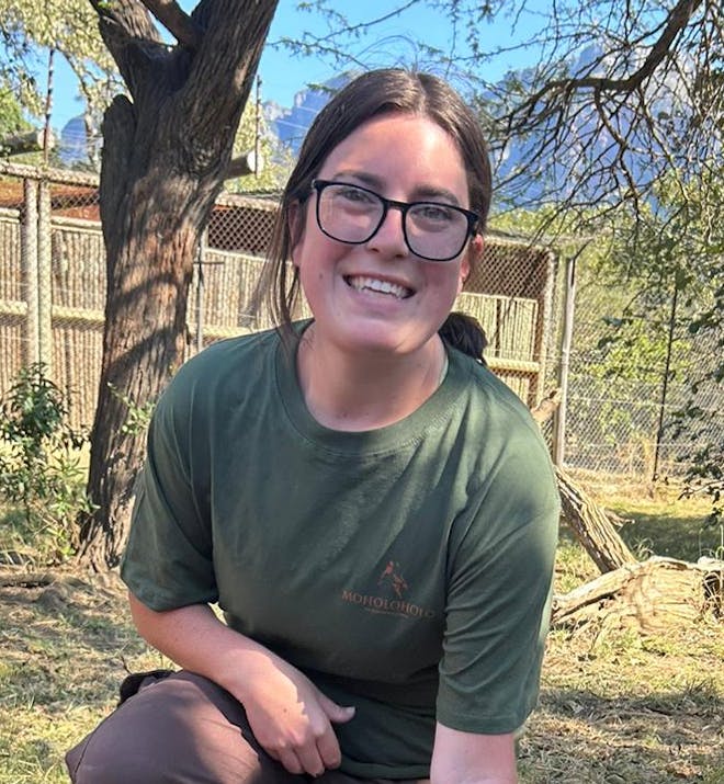 Volunteer with a sedated black leopard