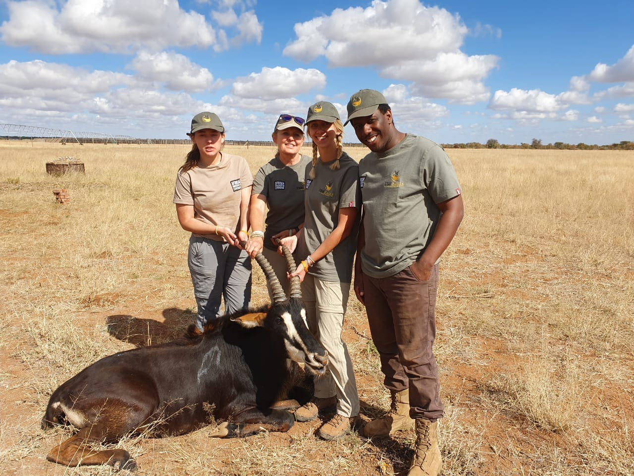 Darrius Upshaw: group posing with a sedated antelope