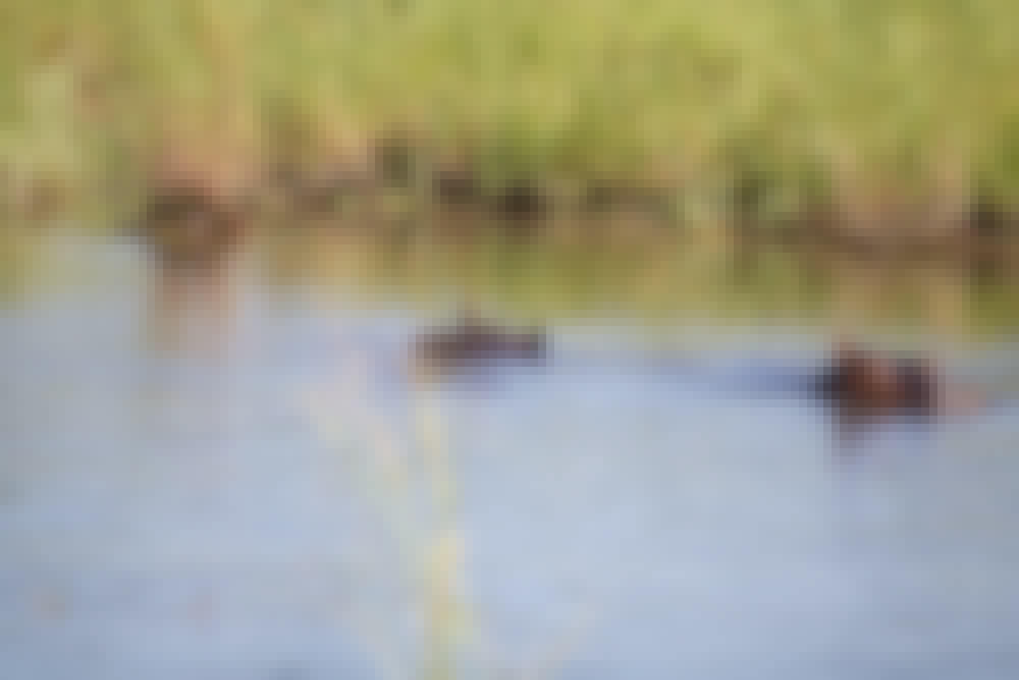 Ramez Ramzy: hippos in the water