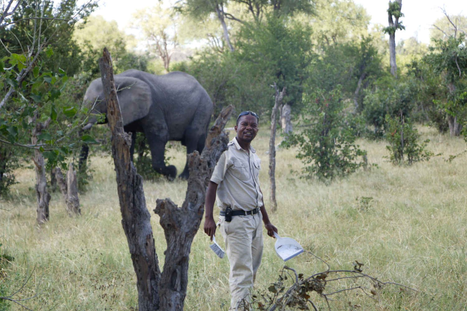 Ramez Ramzy: guide looking at the camera with an elephant in the background