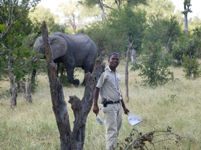 Ramez Ramzy: guide looking at the camera with an elephant in the background