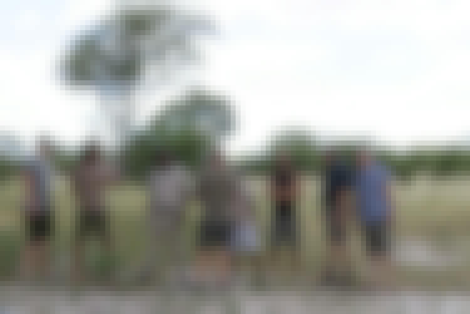 Ramez Ramzy: group gathering