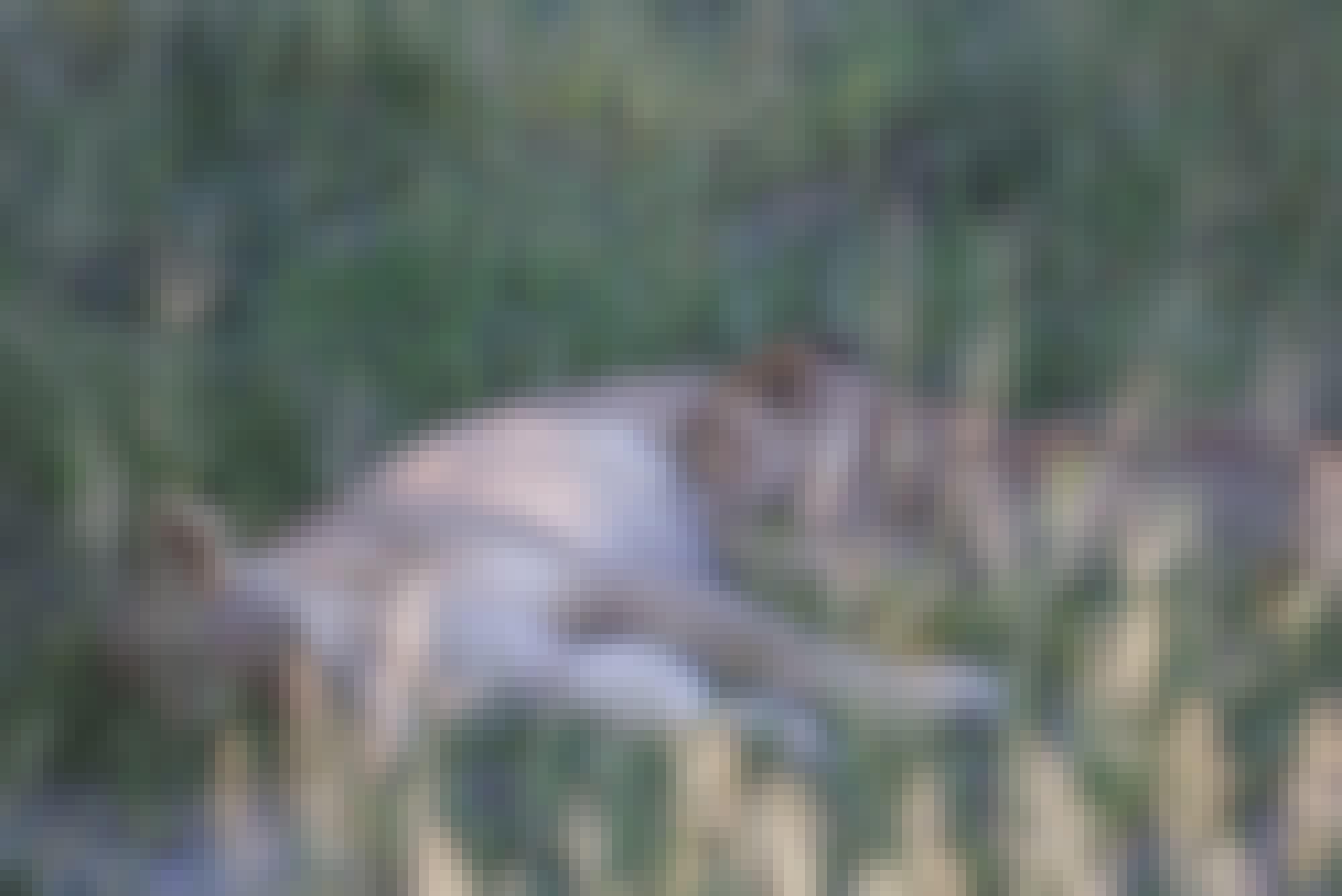 Ramez Ramzy: lion cubs relaxing
