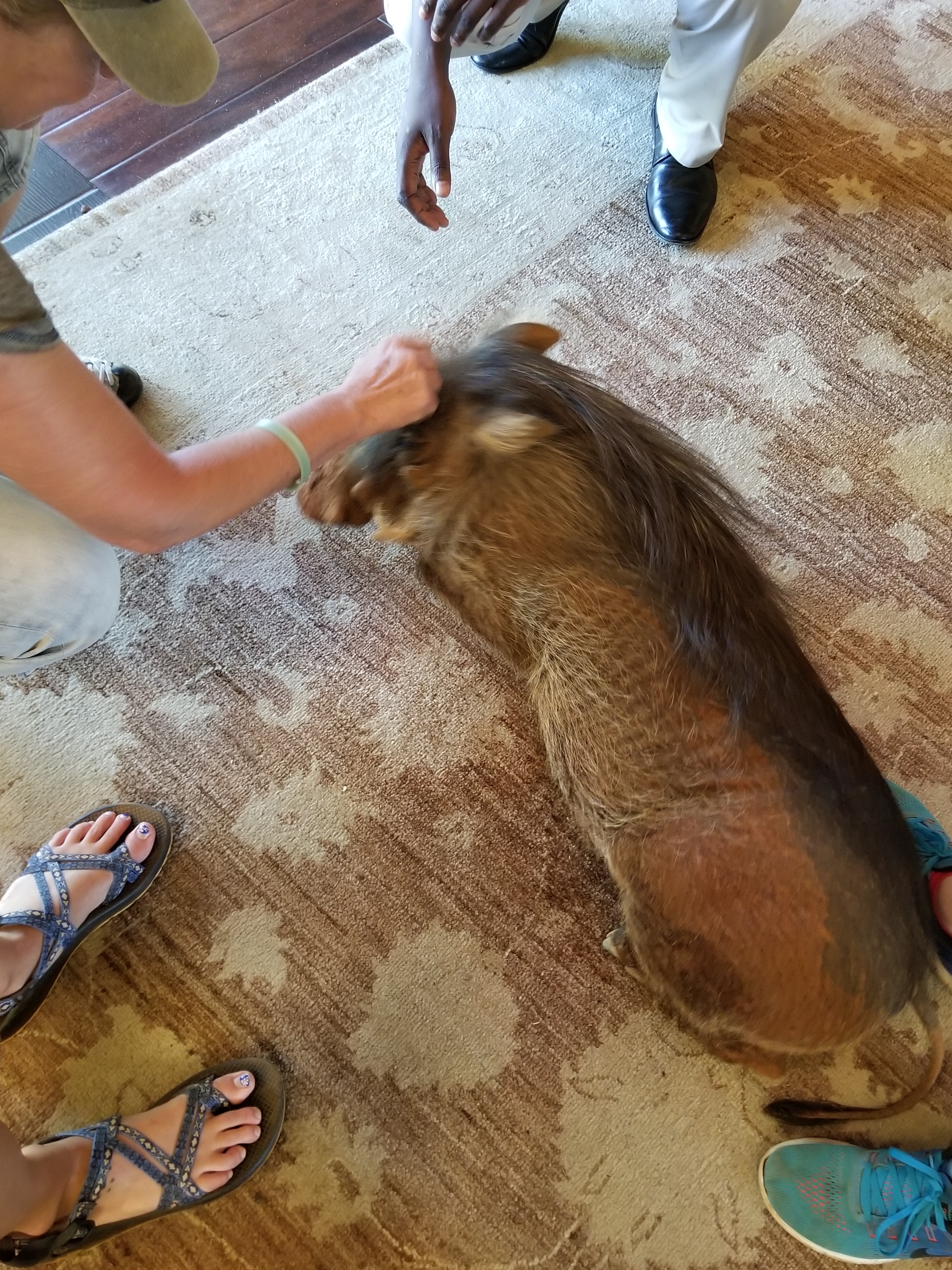 Darrius Upshaw: with a warthog