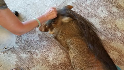 Darrius Upshaw: with a warthog