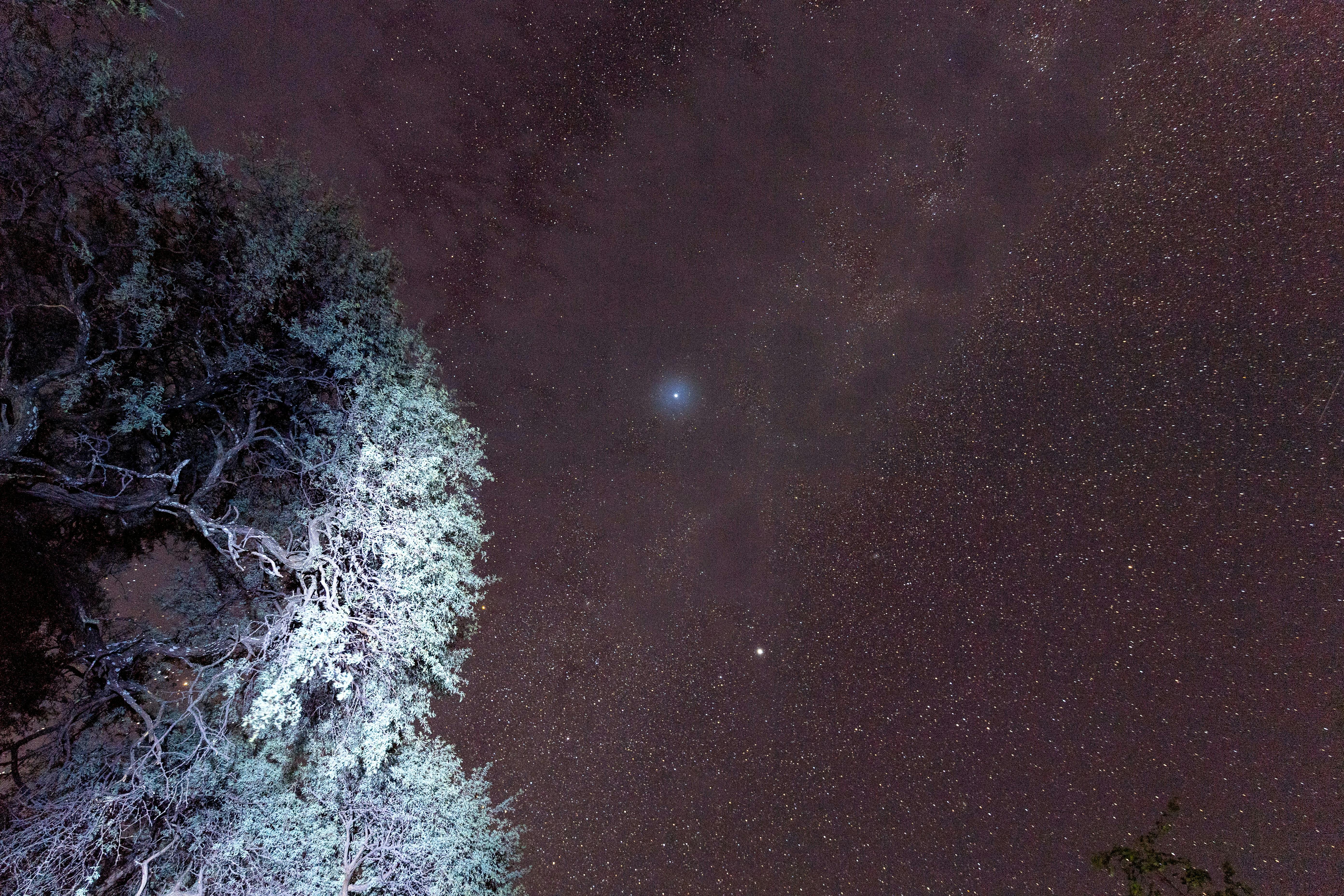 Wayne Grieveson: stars at night in the Okavango