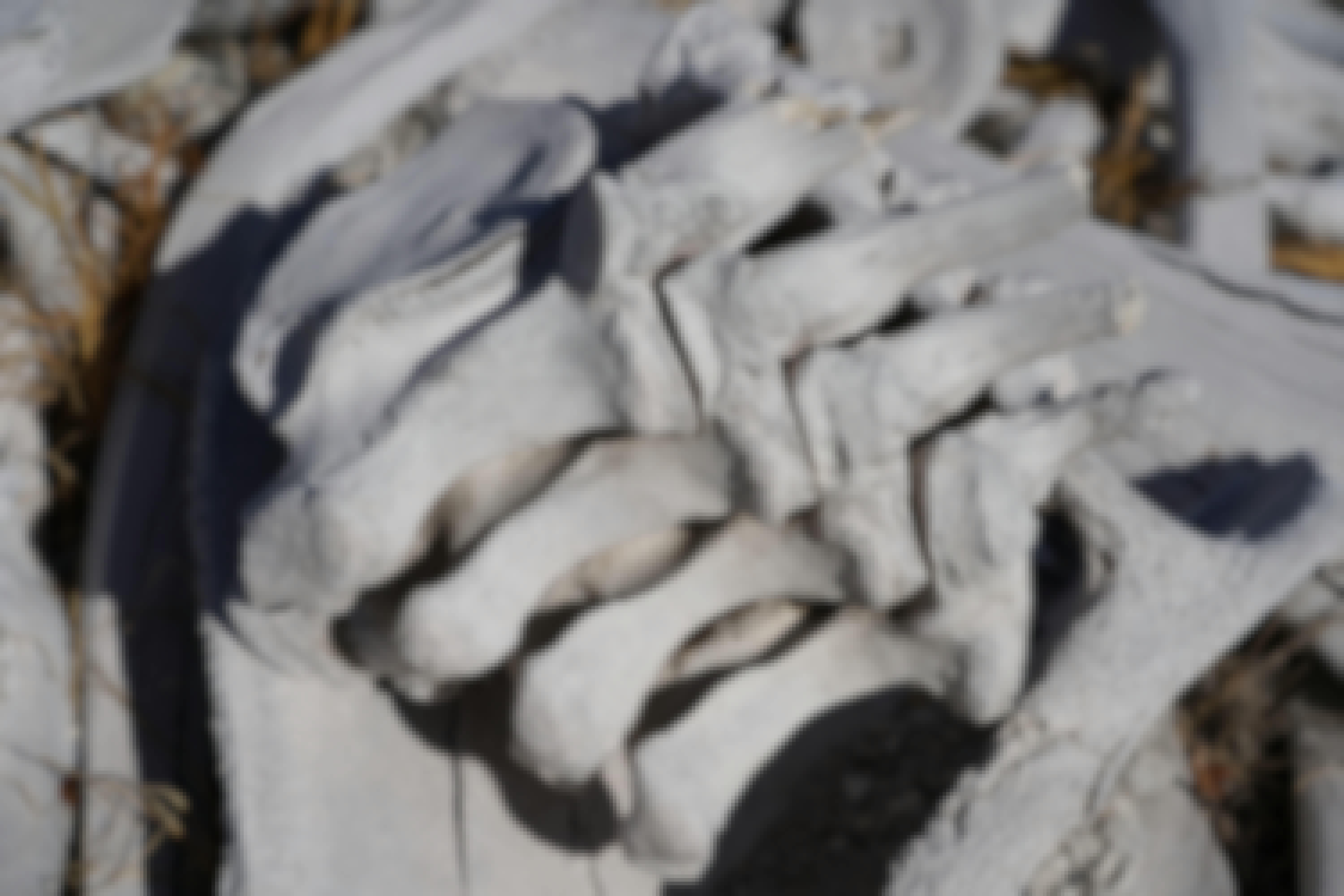 Rino Eliassen: close-up of animal bones