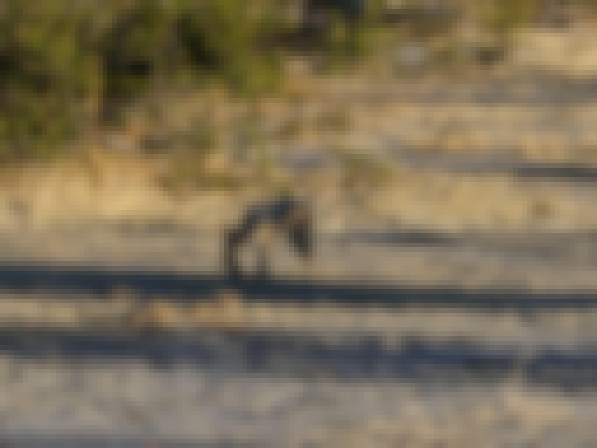 Rino Eliassen: jackal