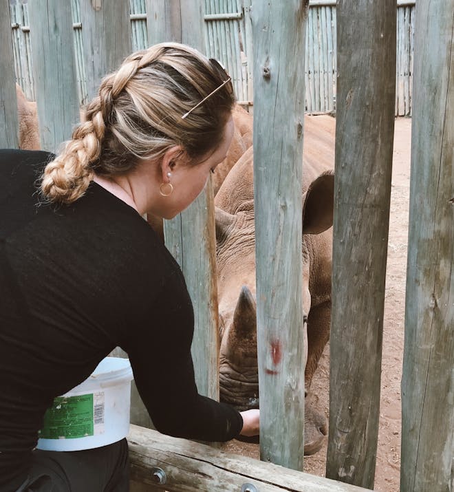 Maisie Kane: feeding a baby rhino